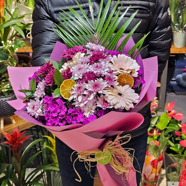  Burdur Çiçekçiler Dianthus Barbatus Purple