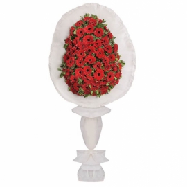  Burdur Çiçek Kırmızı Gerberalarla Hazırlanmış Tek Katlı Çelenk