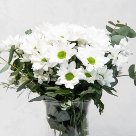 Burdur Çiçekçi Paşabahçe Vazoda Beyaz Papatyalar