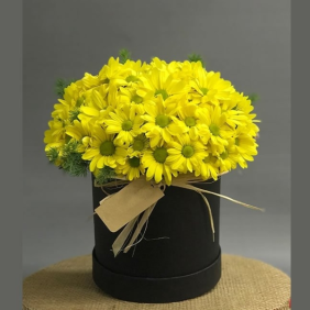  Burdur Çiçek Siparişi Yellow Daisy Arrangement in Box