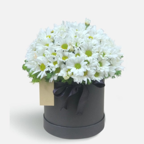  Burdur Çiçekçiler Kutuda Beyaz Papatyalar Aranjmanı